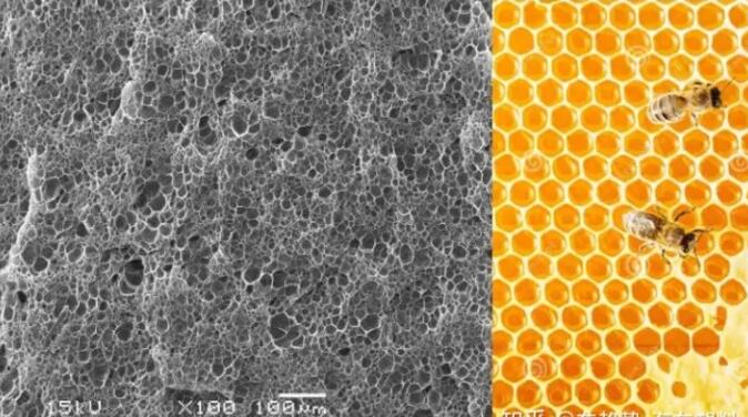 epp發(fā)泡聚丙烯的顯微結(jié)構(gòu)，可以看到這是種連續(xù)閉孔結(jié)構(gòu)，類似于蜂窩